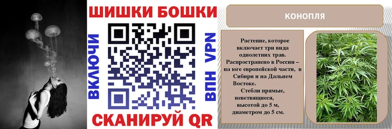 Где купить Десногорск Гашиш  OMG как зайти  Метамфетамин  МЕФ  А ПВП  Кокаин  ТГК 