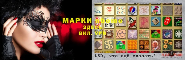 мяу мяу мука Михайловск