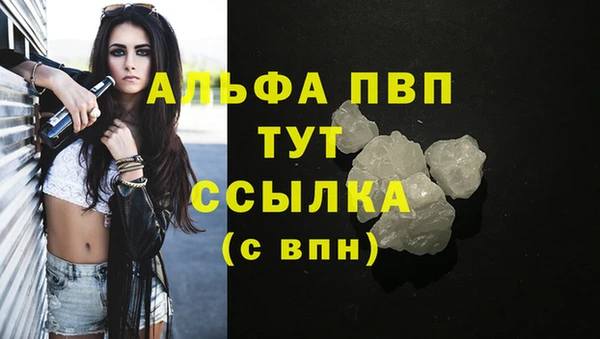 мяу мяу мука Михайловск