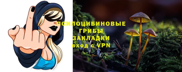 мяу мяу мука Михайловск
