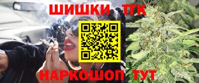 крисы Будённовск