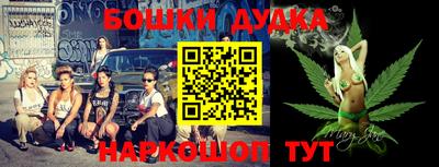 крисы Будённовск